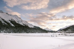 White Turf St. Moritz – winter horse racing event since 1907, Switzerland | Max Donati
