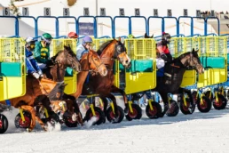 White Turf St. Moritz – skikjöring race on frozen lake, Switzerland | Max Donati