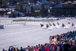 White Turf St. Moritz – winter horse racing event since 1907, Switzerland | Max Donati