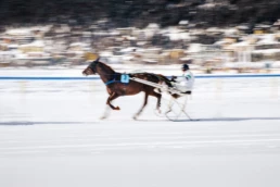 White Turf St. Moritz – spectators and horses on snow, Switzerland | Max Donati