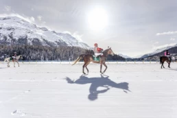 White Turf St. Moritz – winter horse racing event since 1907, Switzerland | Max Donati