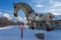 White Turf St. Moritz – alpine landscape and horse racing on ice | Max Donati