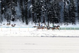 White Turf St. Moritz – alpine landscape and horse racing on ice | Max Donati