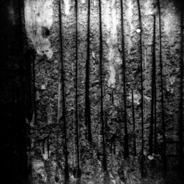 Berlin Wall, Germany – lomographic film photography by Max Donati