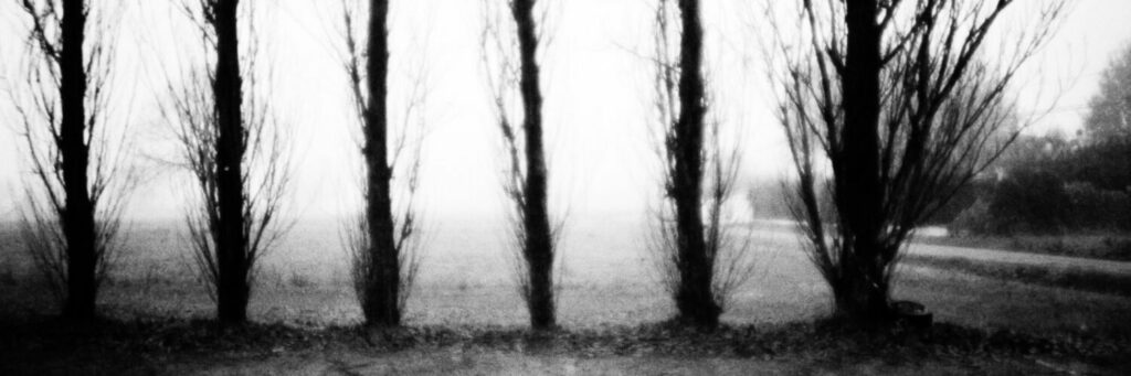 From somewhere in the Po Valley
